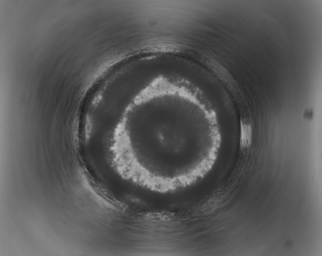 X0000114520627200911301117