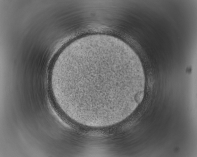 X0000114520630200911301117