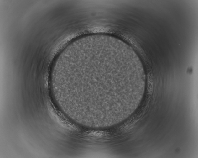 X0000114520631200911301117