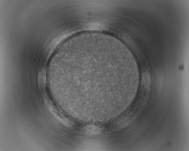 X0000114520632200911301117