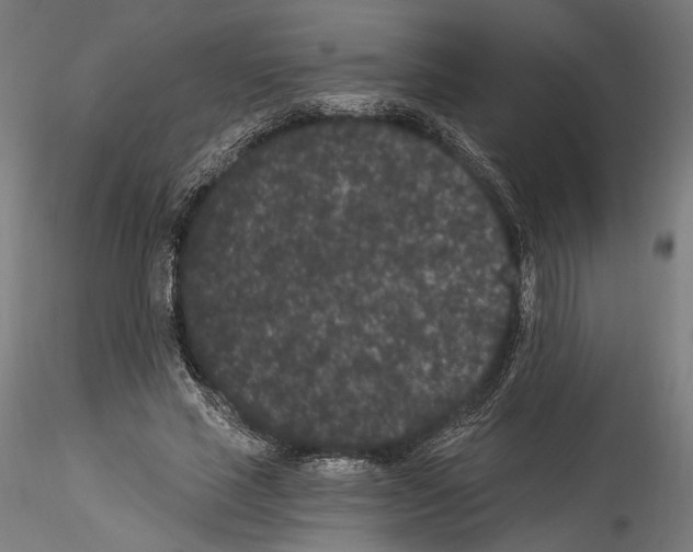 X0000114520637200911301117