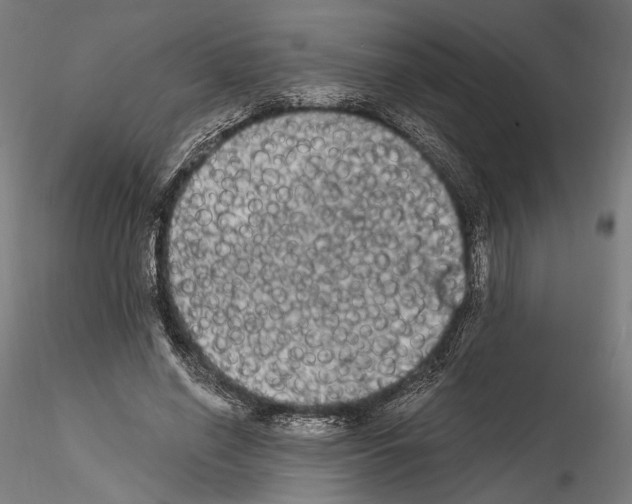 X0000114520638200911301117