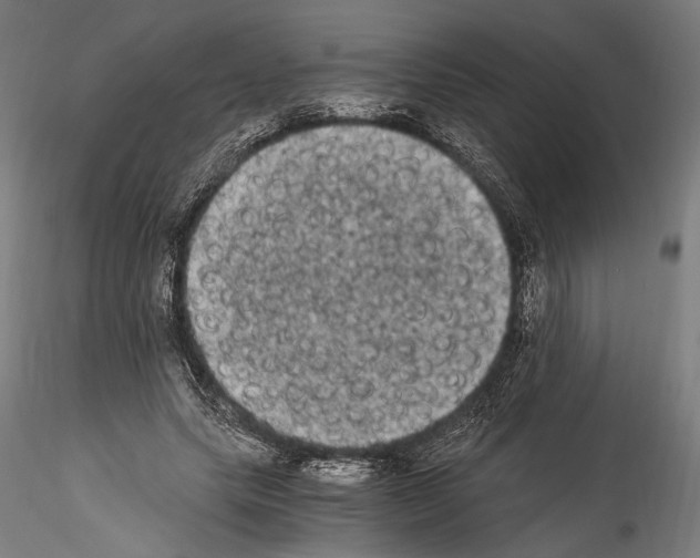 X0000114520639200911301117