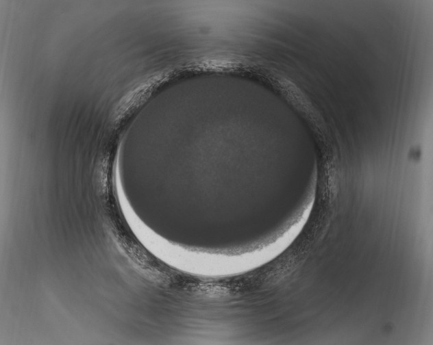 X0000114520640200911301117