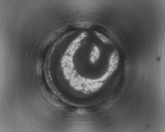 X0000114520641200911301117