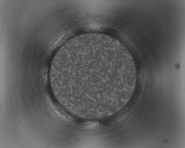 X0000114520642200911301117