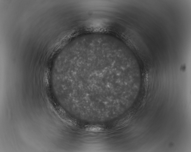 X0000114520643200911301117