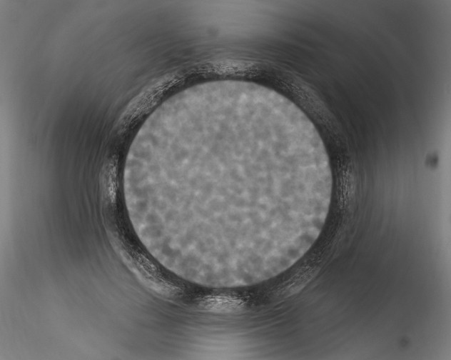 X0000114520644200911301117