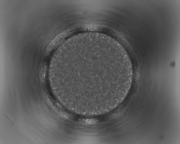 X0000114520645200911301117