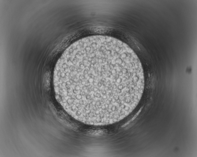 X0000114520646200911301117