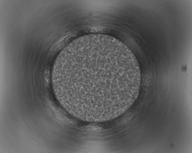 X0000114520648200911301117