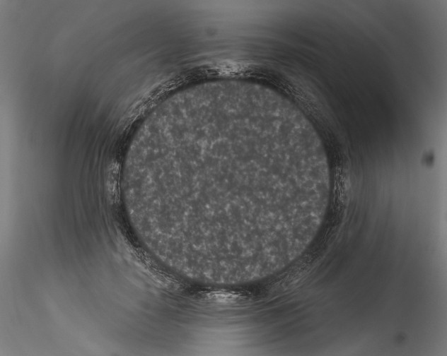 X0000114520650200911301117