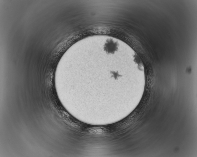 X0000114520652200911301118