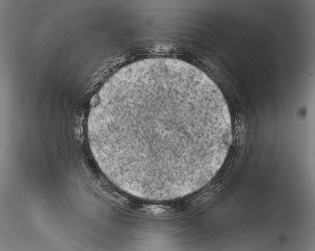 X0000114520654200911301118