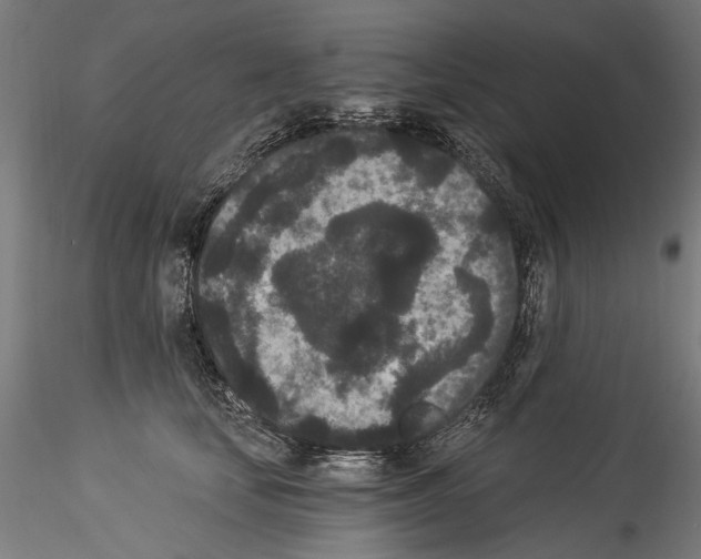 X0000114520659200911301118