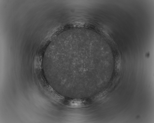 X0000114520661200911301118