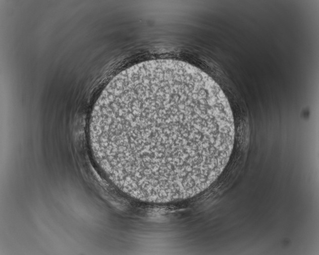 X0000114520662200911301118