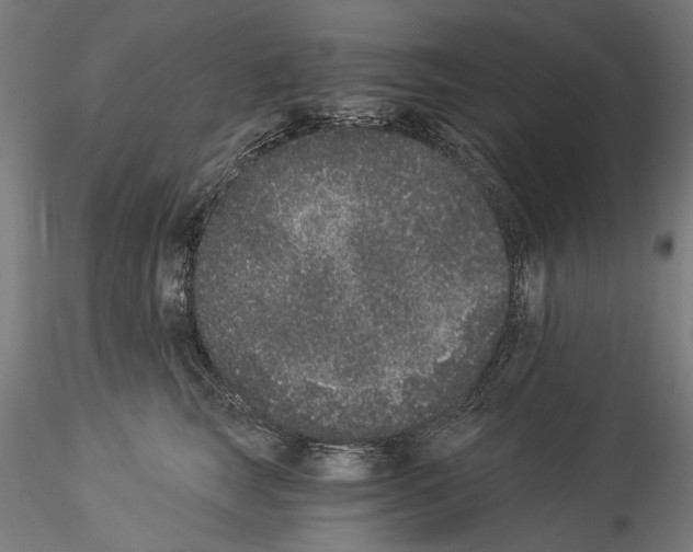 X0000114520663200911301118