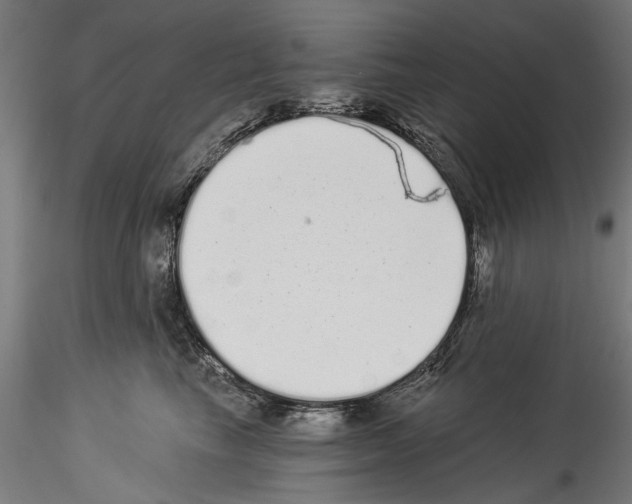 X0000114520665200911301118