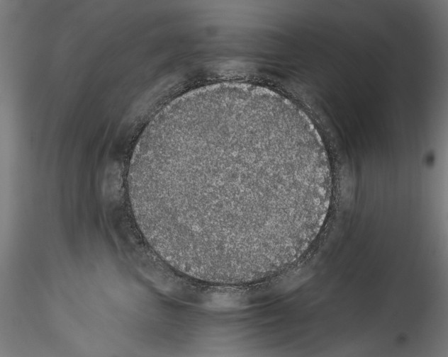 X0000114520667200911301118