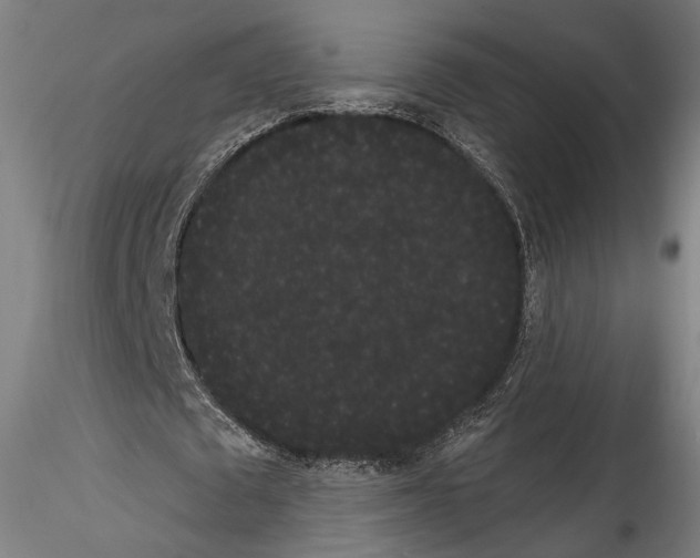 X0000114520673200911301117