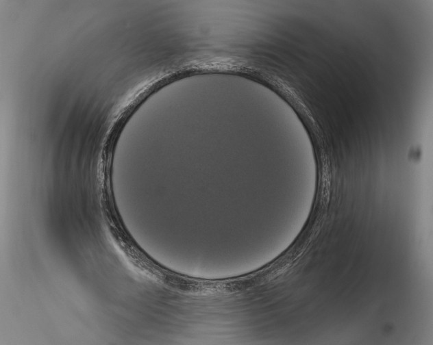 X0000114520674200911301117