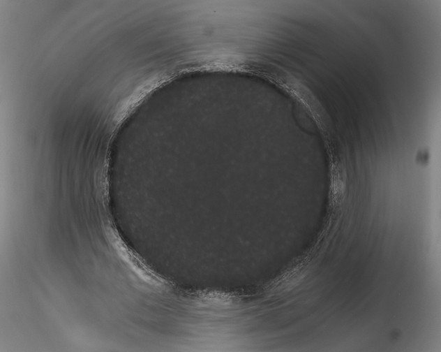 X0000114520677200911301117