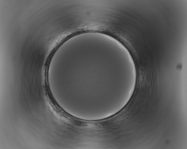 X0000114520678200911301117