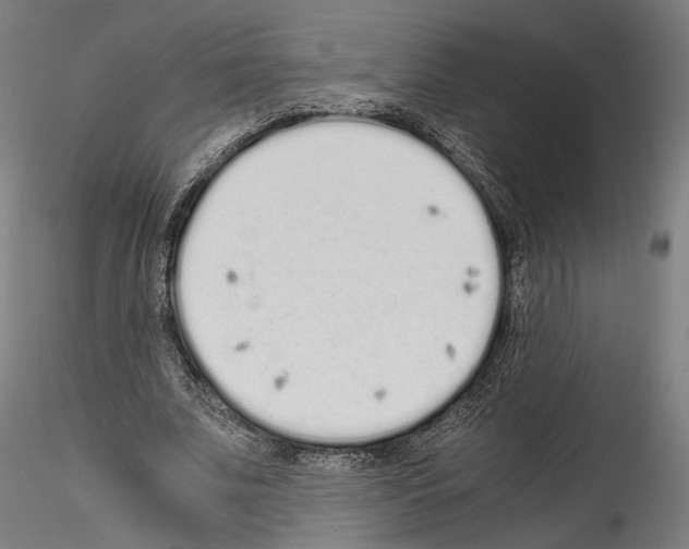 X0000114520679200911301117