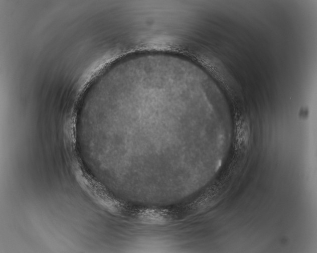 X0000114520680200911301117