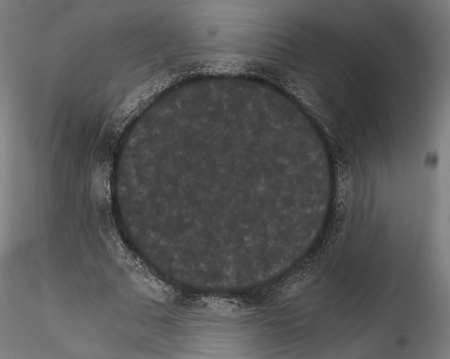 X0000114520681200911301117