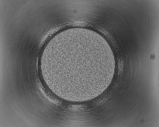 X0000114520686200911301117