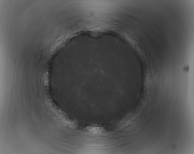 X0000114520689200911301117