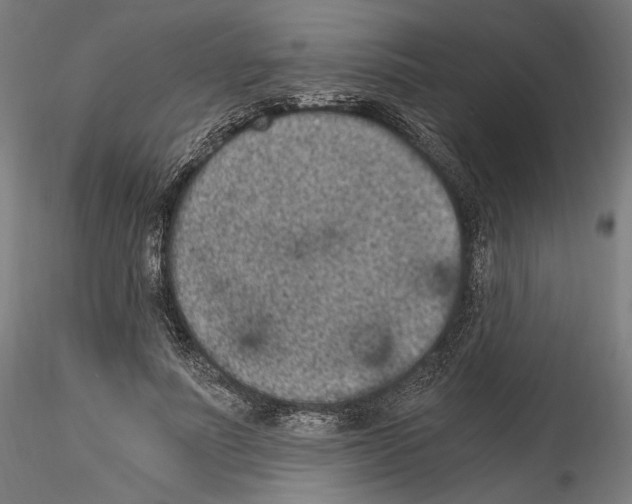 X0000114520691200911301117