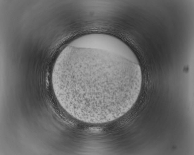 X0000114520692200911301117