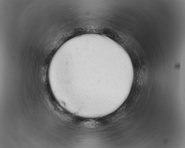 X0000114520695200911301116