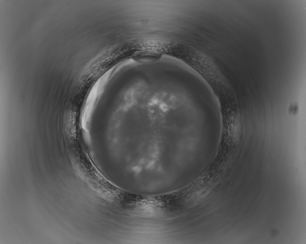 X0000114520696200911301116