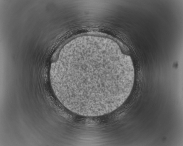 X0000114520697200911301116