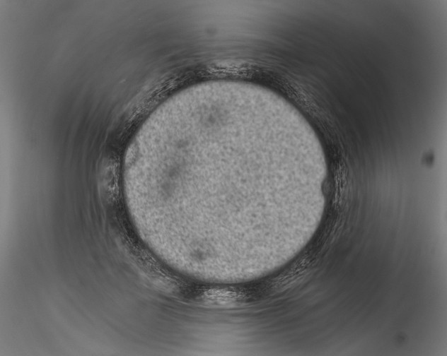 X0000114520699200911301116