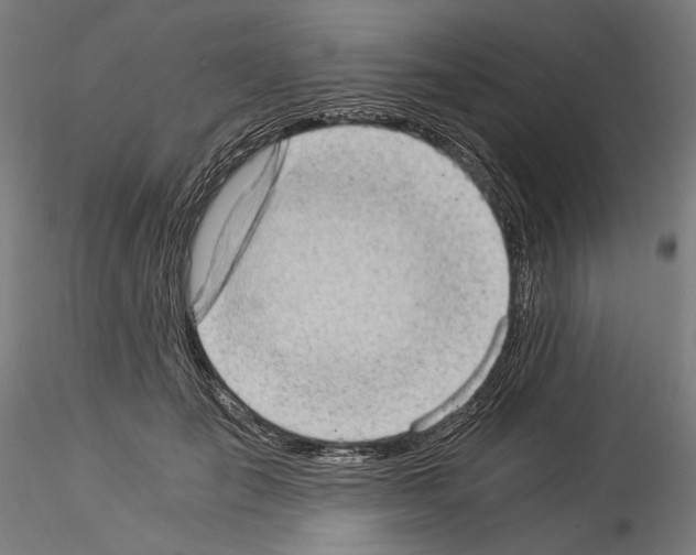 X0000114520701200911301116