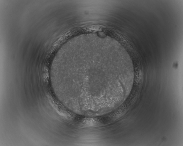 X0000114520704200911301116