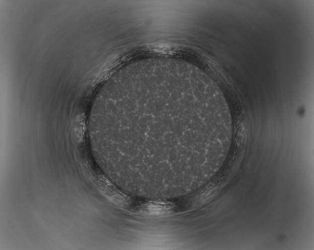 X0000114520707200911301116