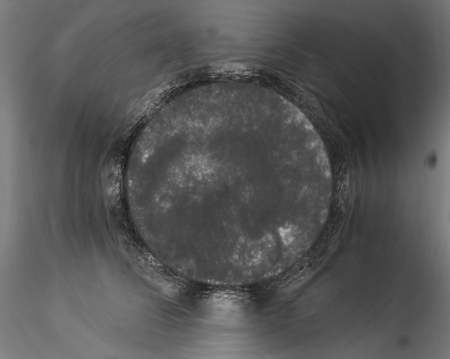 X0000114520708200911301116