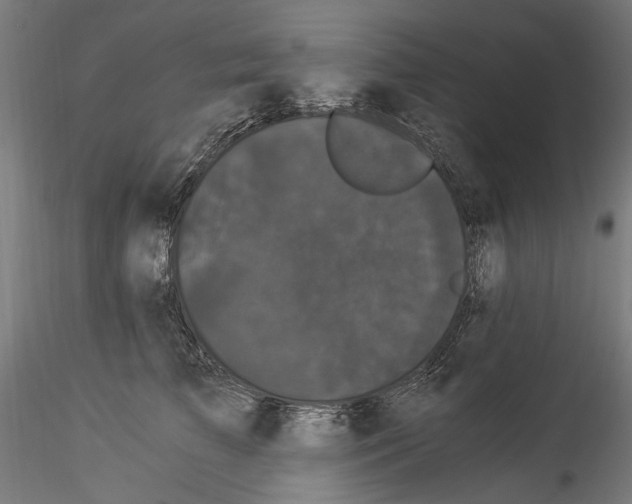 X0000114520709200911301116