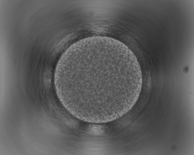 X0000114520710200911301116