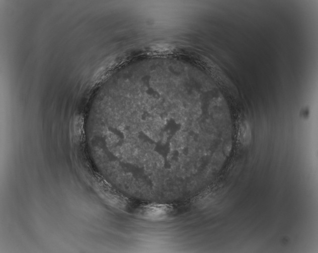 X0000114520711200911301116