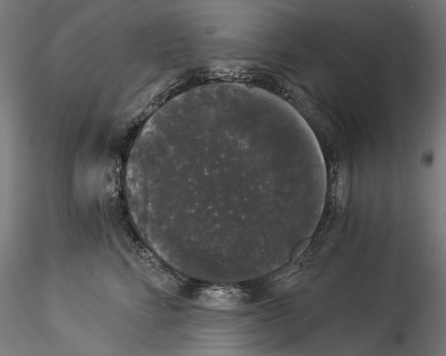 X0000114520712200911301116