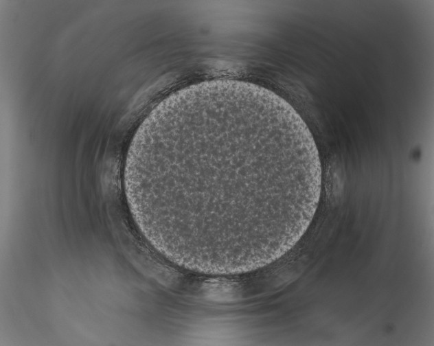 X0000114520714200911301116