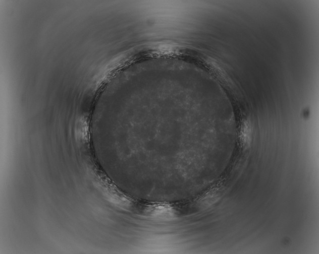 X0000114520715200911301116