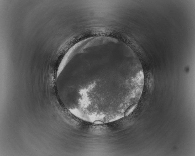 X0000114520716200911301116